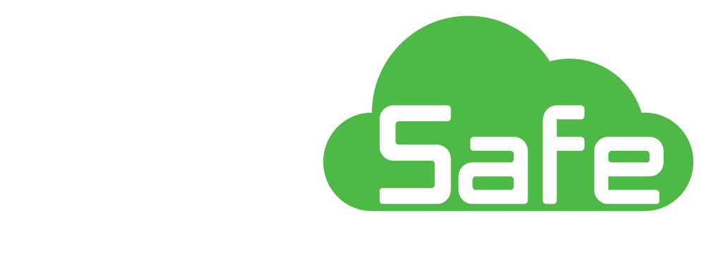 Stay Safe Auditz Software